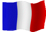 Le drapeau de France